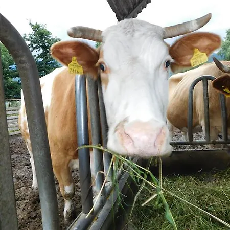 Schusterhof-pondorfer Gospodarstwo agroturystyczne Dölsach