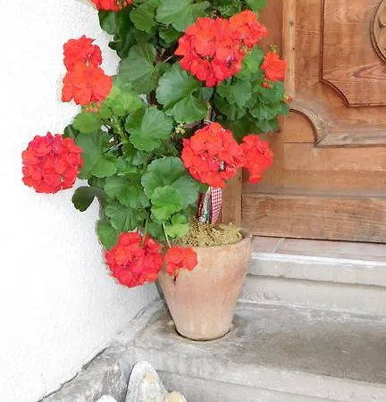 Farm stay Schusterhof-pondorfer Doelsach