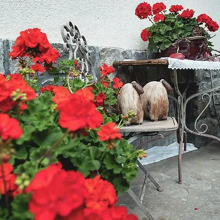 Farm stay Schusterhof-pondorfer